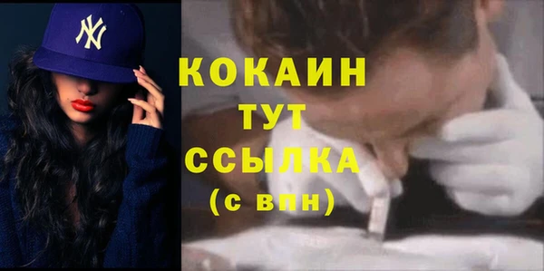 эйфоретик Богданович
