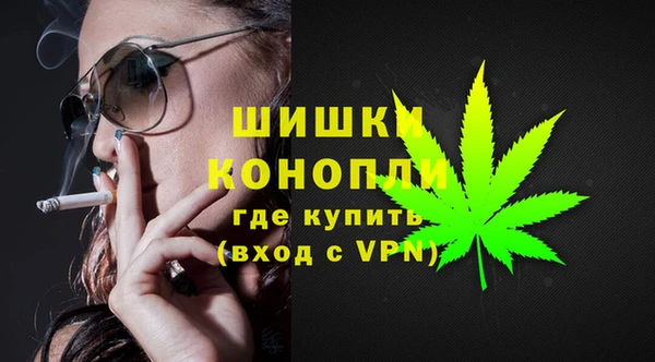 эйфоретик Богданович